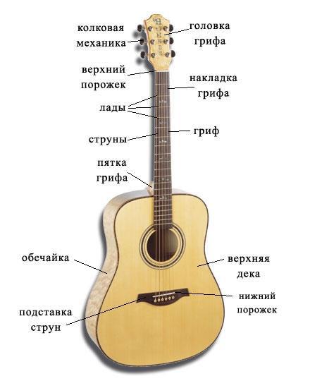 Устройство гитары